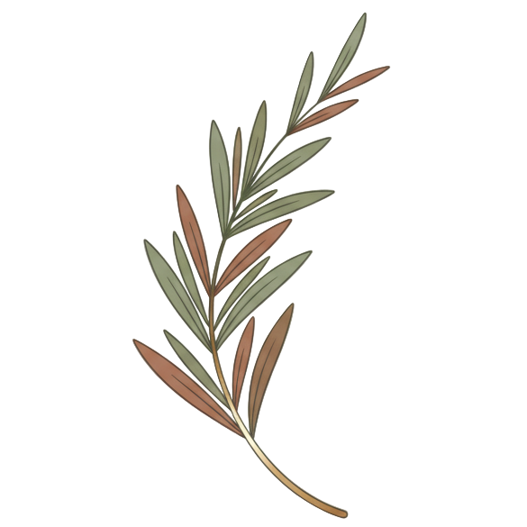 一个能代表草药的图标