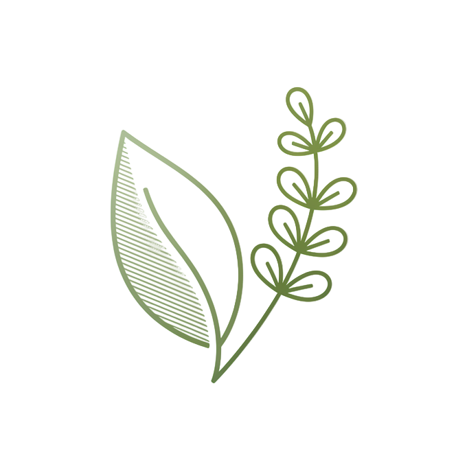 一个能体现出纯天然的图标